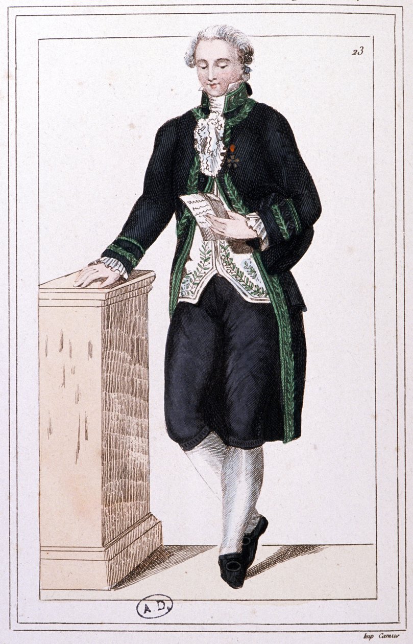 Ein Mitglied des Instituts während des 1. Kaiserreichs, ca. 1810 (Gravur) von Unbekannter Künstler