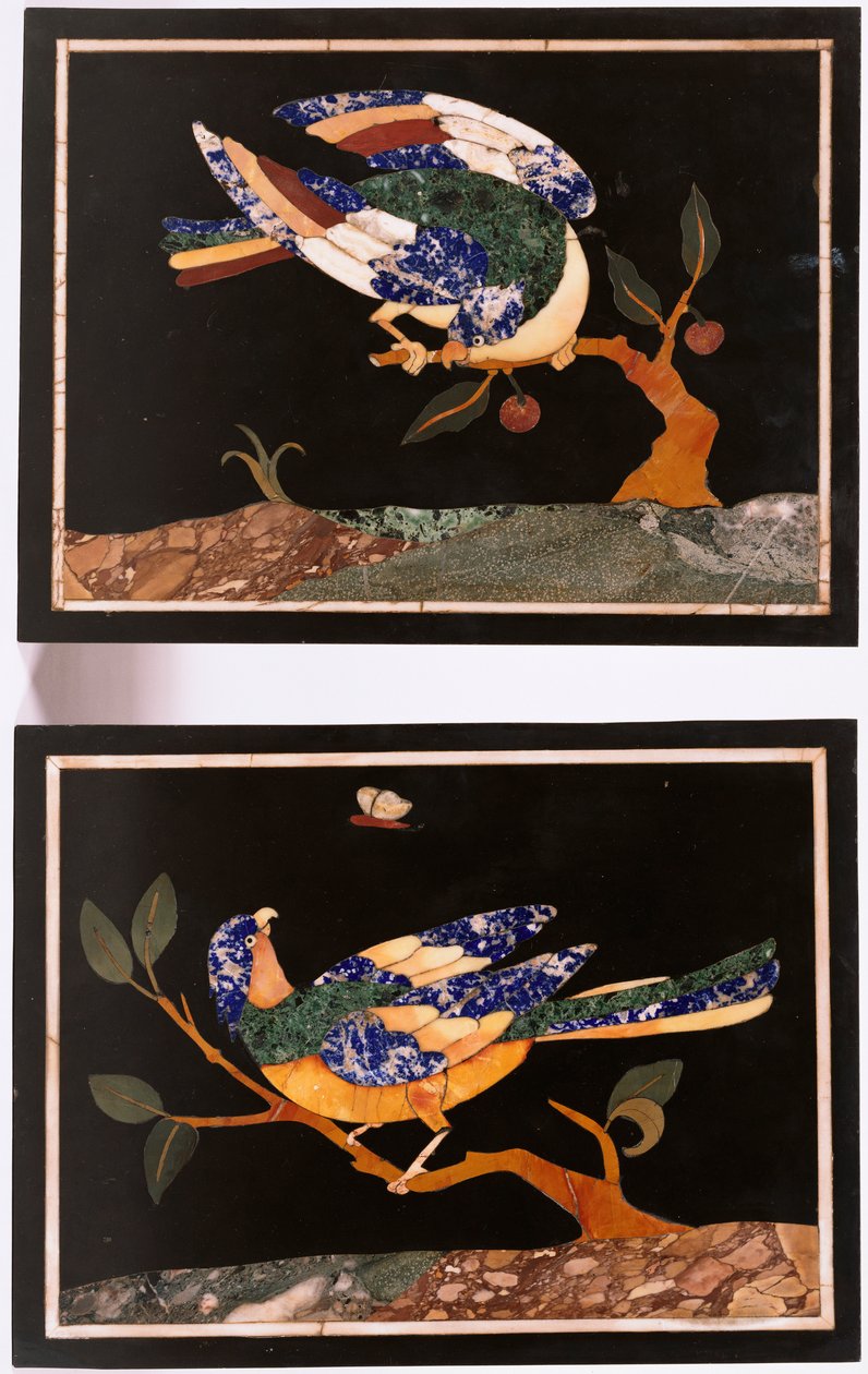 Ein Paar florentinische Pietra-Dura-Paneele, die Vögel darstellen von Unbekannt