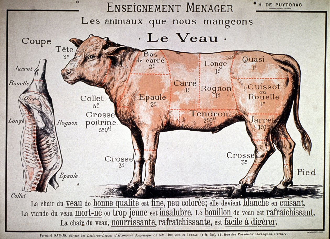 Tiere, die wir essen: das Kalb, ca. 1910 von Unbekannter Künstler