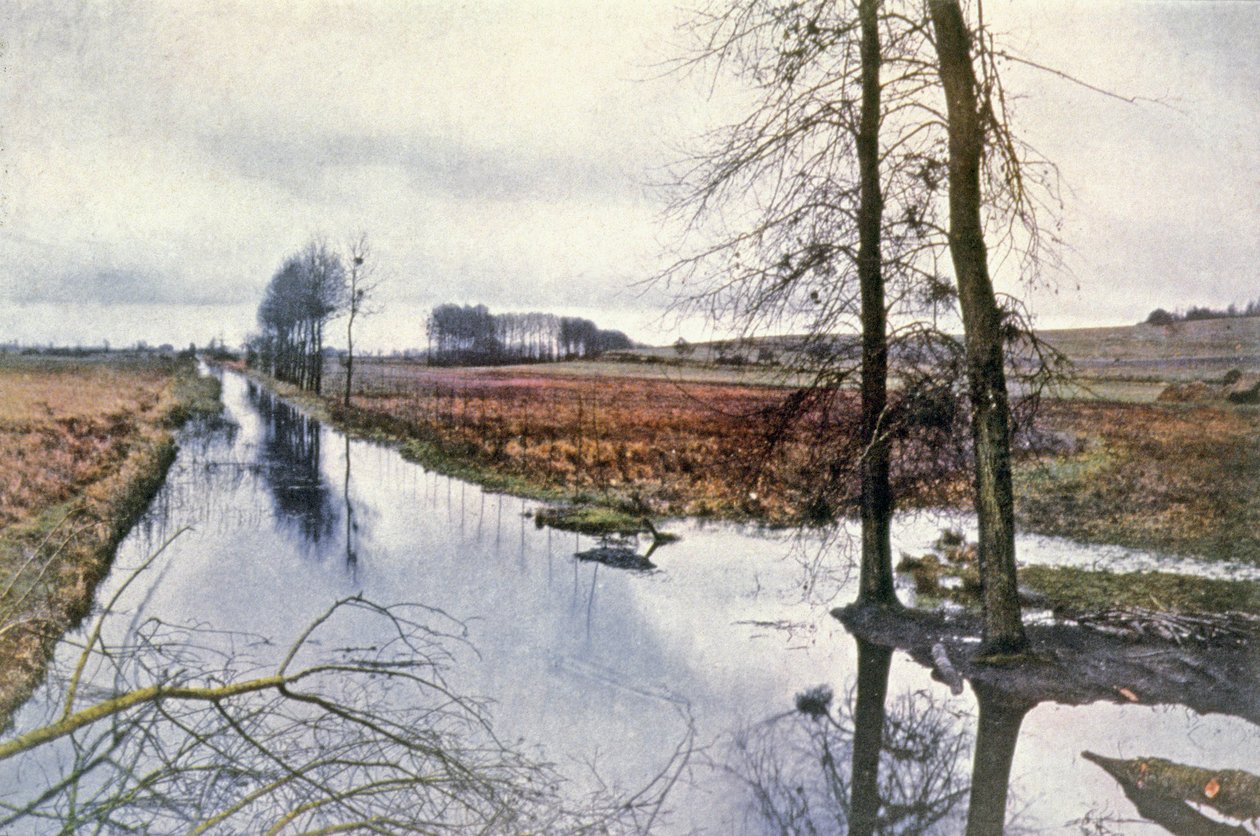 Schlacht an der Marne, Sümpfe von Saint Gond von Unbekannter Künstler