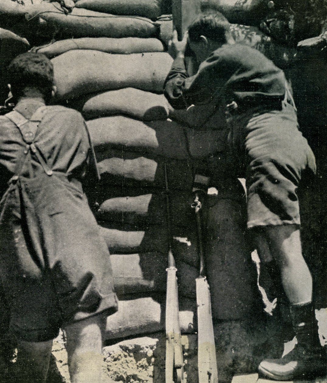 Britische Truppen kämpfen in Khaki-Drill-Shorts, Gallipoli-Halbinsel von Unbekannt