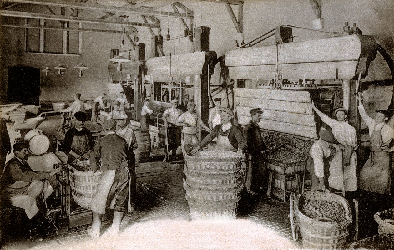 Champagne: Traubenpressen im Erntehaus Saint-Helene, Moet & Chandon Epernay Haus von Benjamin Baud