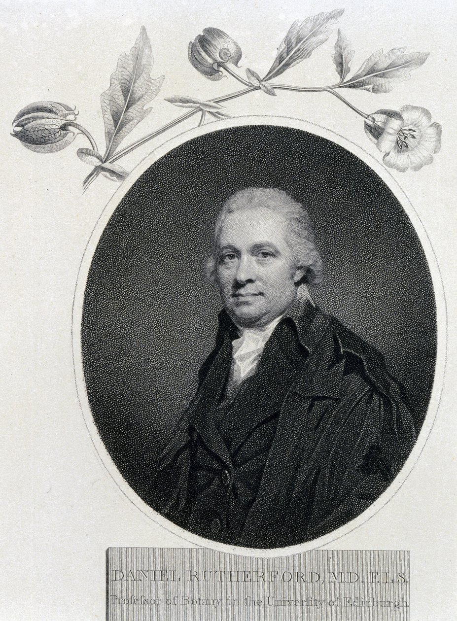 Daniel Rutherford, schottischer Chemiker und Botaniker, frühes 19. Jahrhundert von Unbekannt