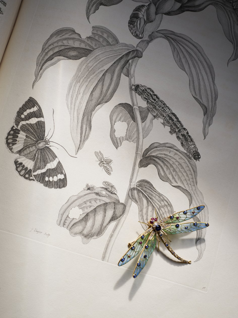 Deborah Devonshires Käfer- und Insektenschmuck auf 