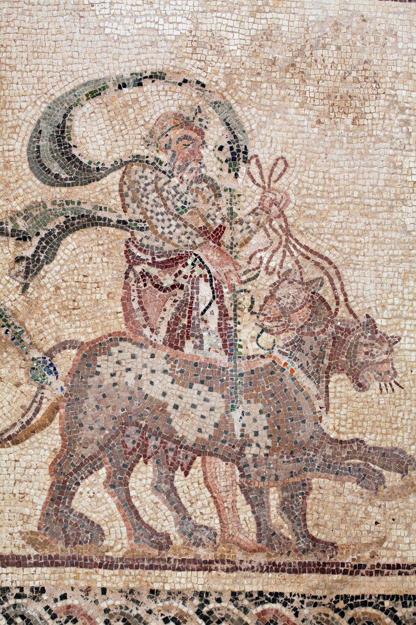 (Detail) Der Triumph des Dionysos - Rückkehr des Gottes von einem Feldzug nach Indien - Silenus hält die Zügel der Panther - Paphos-Mosaiken, Haus des Dionysos, Ende des 2. Jahrhunderts n. Chr. - Zypern von William M. Timlin