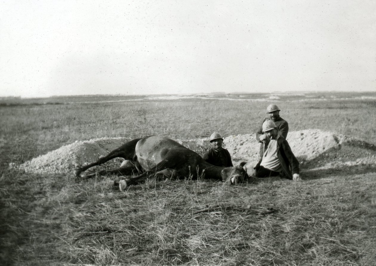 Erster Weltkrieg 14-18 (1914-1918): drei französische Soldaten begraben ein totes Pferd - Fotografie auf Glasplatte von Unbekannter Künstler