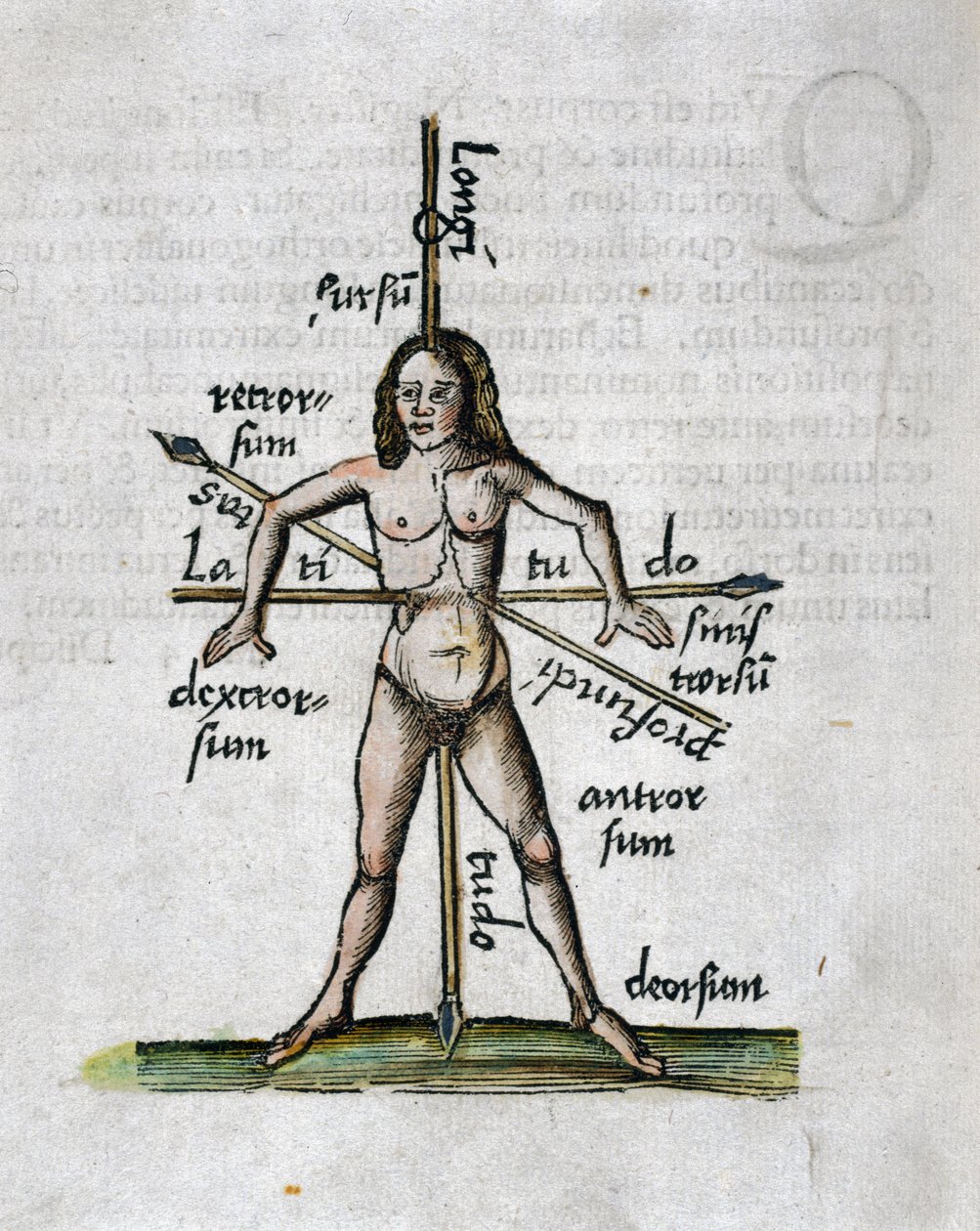 Geographie 16. Jahrhundert: menschliche Figur, die Längen- und Breitengrade darstellt, ihr Körper wird von Lanzen durchbohrt, die nach den Winkeln der imaginären Linien ausgerichtet sind von Unbekannt