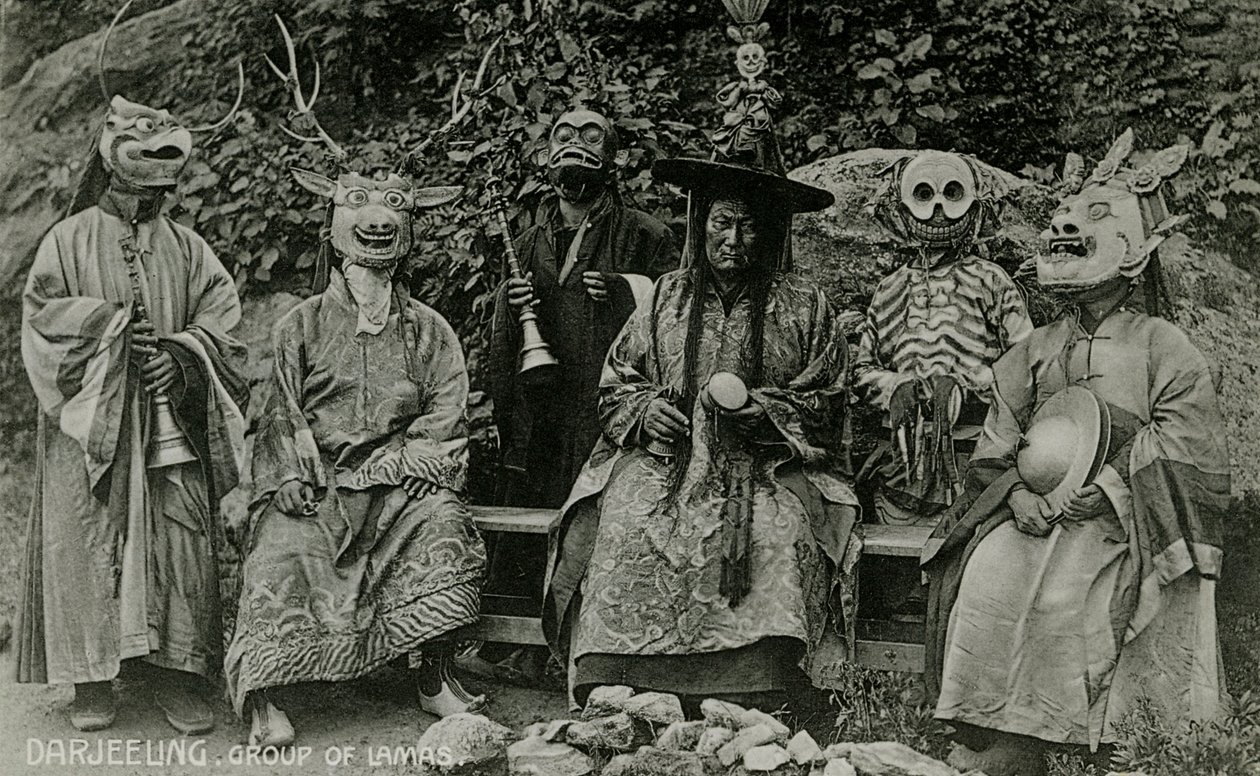 Gruppe von Lamas, Darjeeling von Unbekannter Künstler