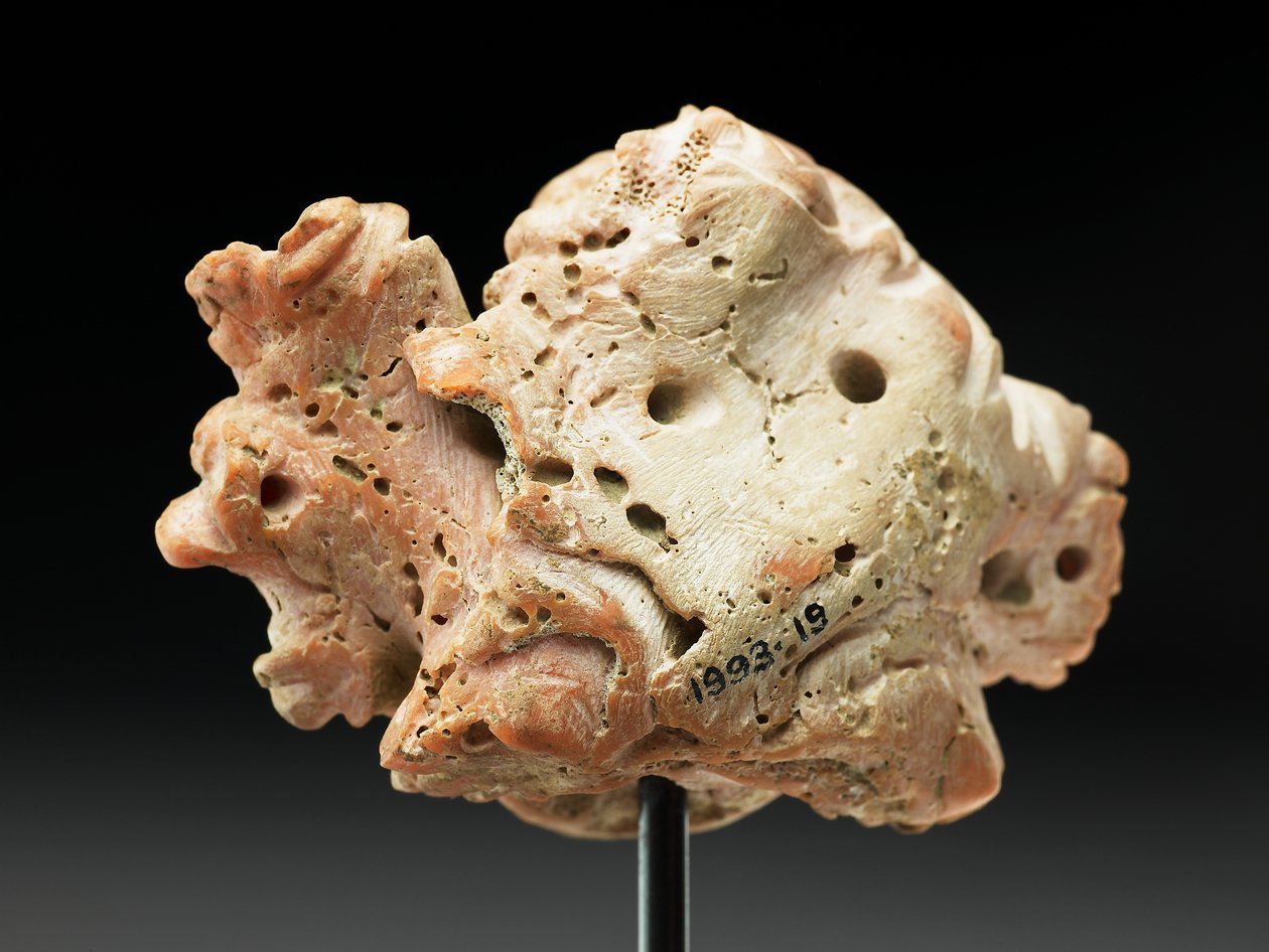 Kopf der Medusa, aus Baktrien oder Gandhara, 2.-1. Jahrhundert v. Chr. von Unbekannt