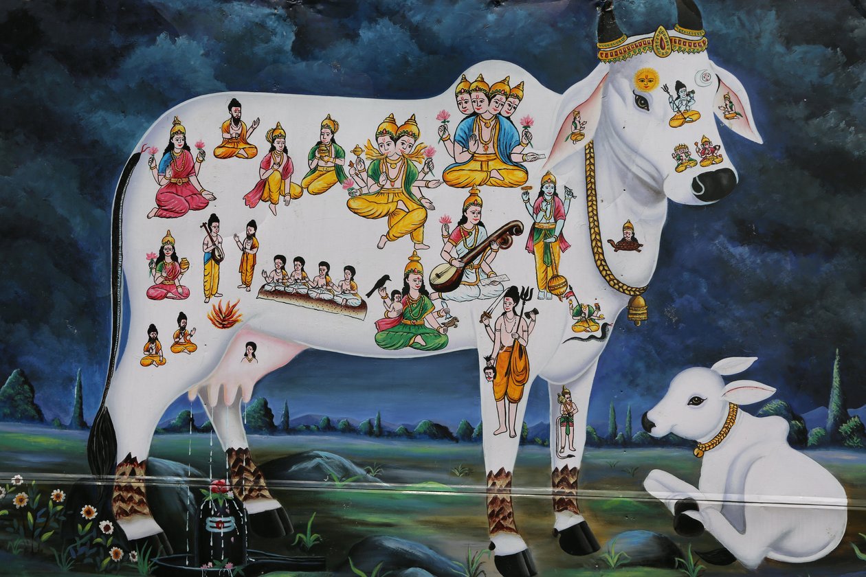 Hindu-Malerei. Heilige Kuh und Kalb. Indien von Unbekannt