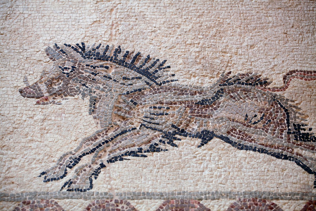 Jagdszene: Ein Wildschwein - Paphos-Mosaiken, Haus des Dionysos - Ende des 2. Jahrhunderts n. Chr. - Zypern von William M. Timlin