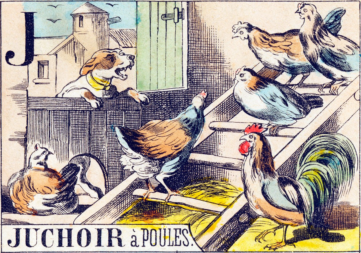 Juchoir a poules - Alphabet des Bauernhofs Ende des 19. Jahrhunderts (Gravur) von Unbekannt