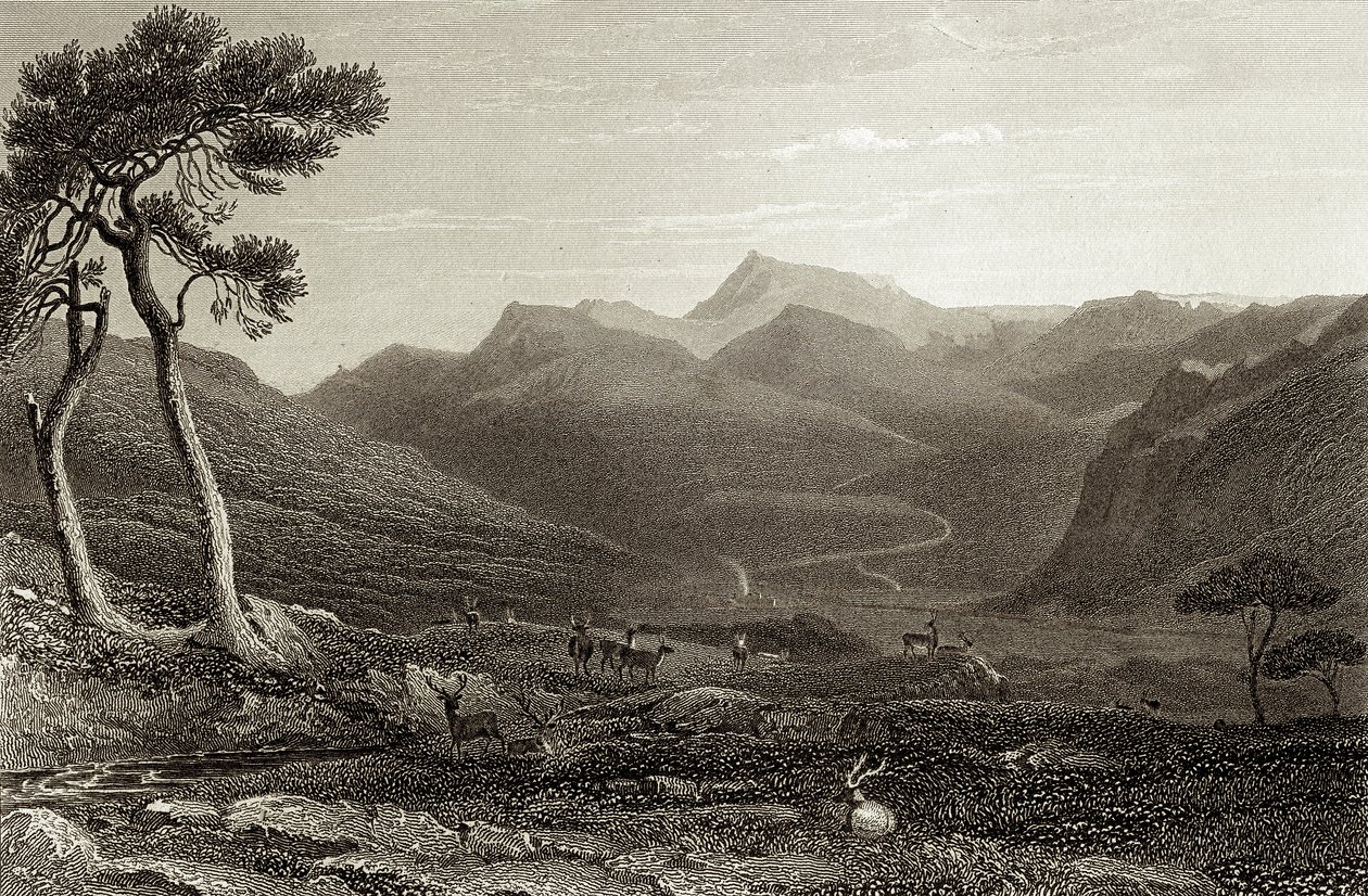 Lachin Y Gair von Unbekannter Künstler