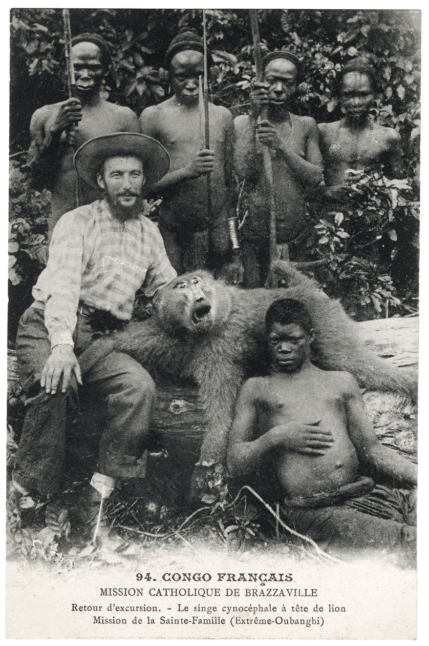 Der Löwenkopf-Pavian, ca. 1910 (Lithografie) von Unbekannt