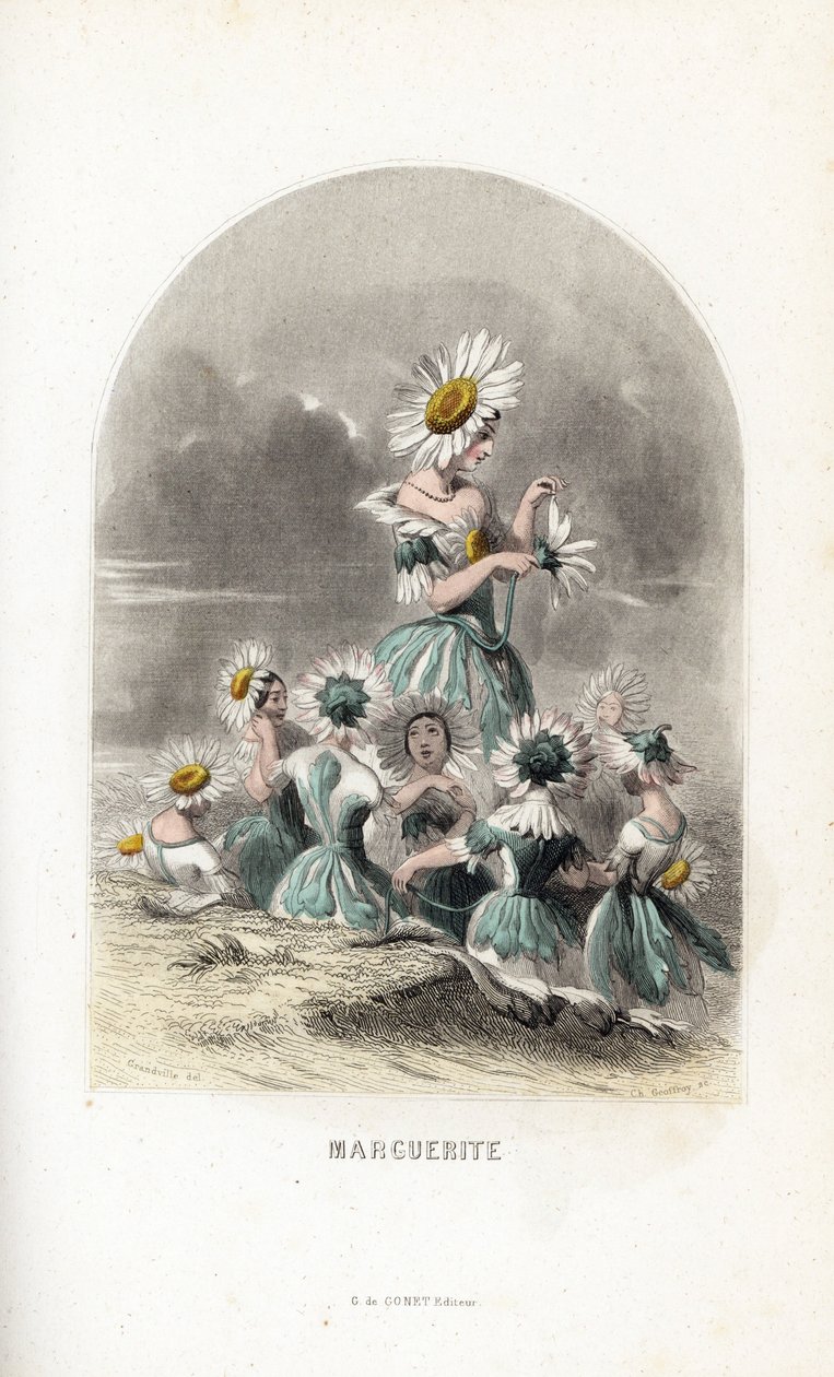 Die Feen der Gänseblümchen auf den Wiesen, gekrönt mit Blumenhüten, eine verlässt die Blütenblätter eines Gänseblümchens - Radierung von Charles Geoffroy nach einer Illustration von Jean Ignace Isidore Gerard dit J.J.Granville für Les fleurs animées von Unbekannter Künstler