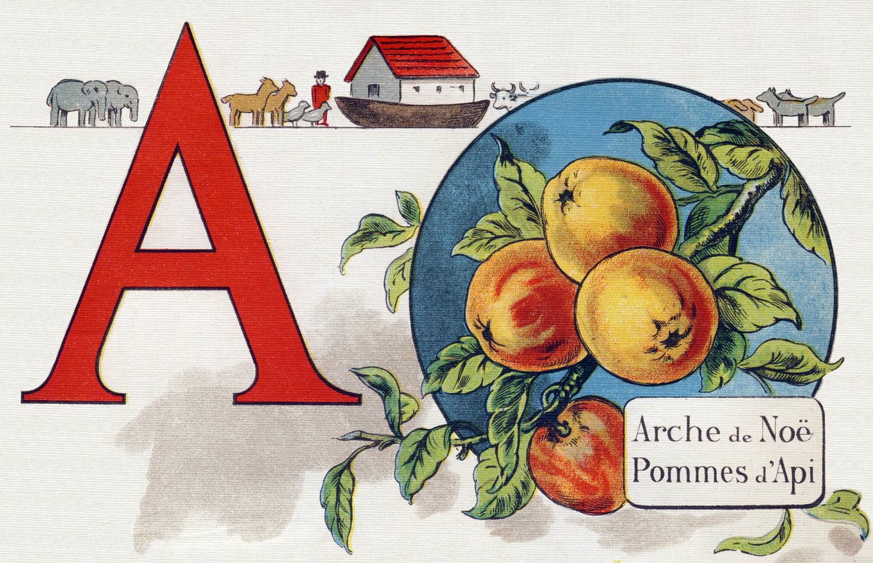 Buchstabe A: Arche Noah, Apy Apfel (Illustration aus „ABC L