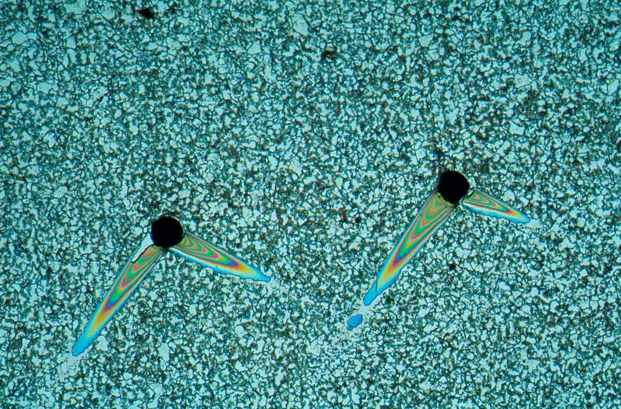 Metalle, Eisenmetalle, LM Sphäroidisiertes Stahl (geätzt) von Unbekannt