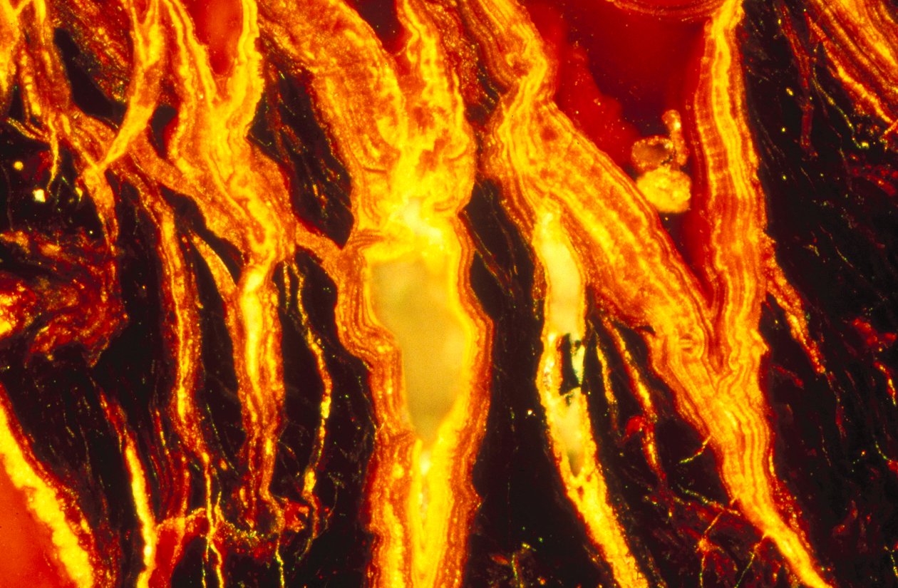 Metalle, Mineralien, Eisenhaltig, LM Eisenoxid von Unbekannt