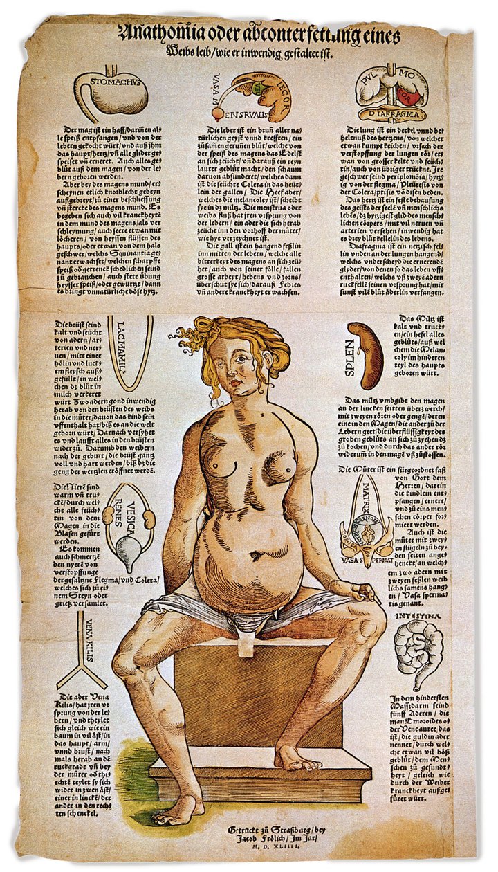 Medizin: anatomische Tafel, die die weibliche Anatomie aus einem Renaissance-Medizinbuch beschreibt. Um die Figur einer sitzenden Frau sind lebenswichtige Organe wie Leber, Lunge und Zwerchfell, Magen und Fortpflanzungsapparat aufgelistet und illustriert.  von Unbekannter Künstler