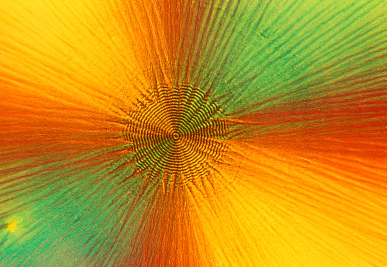 Mikrographien (Licht) Ascorbinsäure, Lichtmikrographie von Unbekannt
