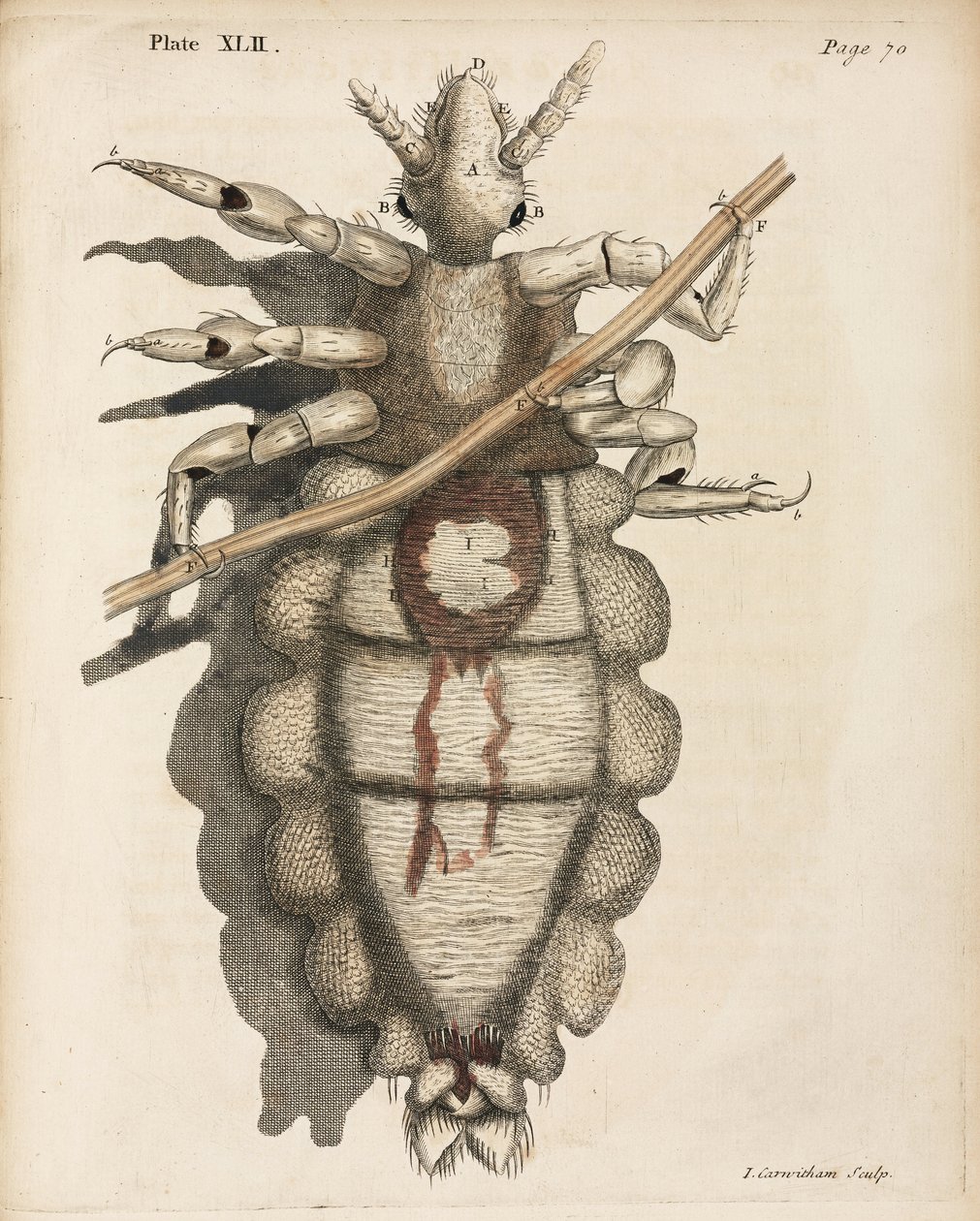 Mikroskopie von Unbekannt
