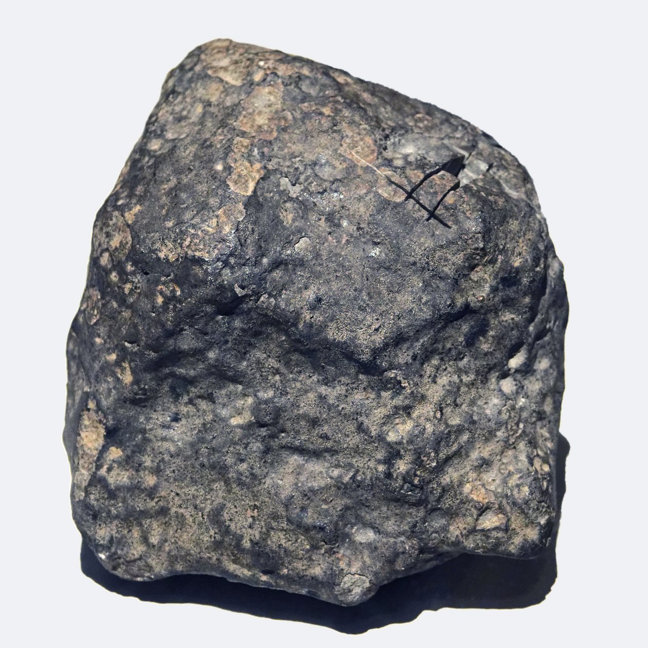 Gewöhnlicher Chondrit (L/LL5). Gefallen in Toimbee, Ukraine 1866. Nationalmuseum für Naturgeschichte, Paris. von Unbekannt
