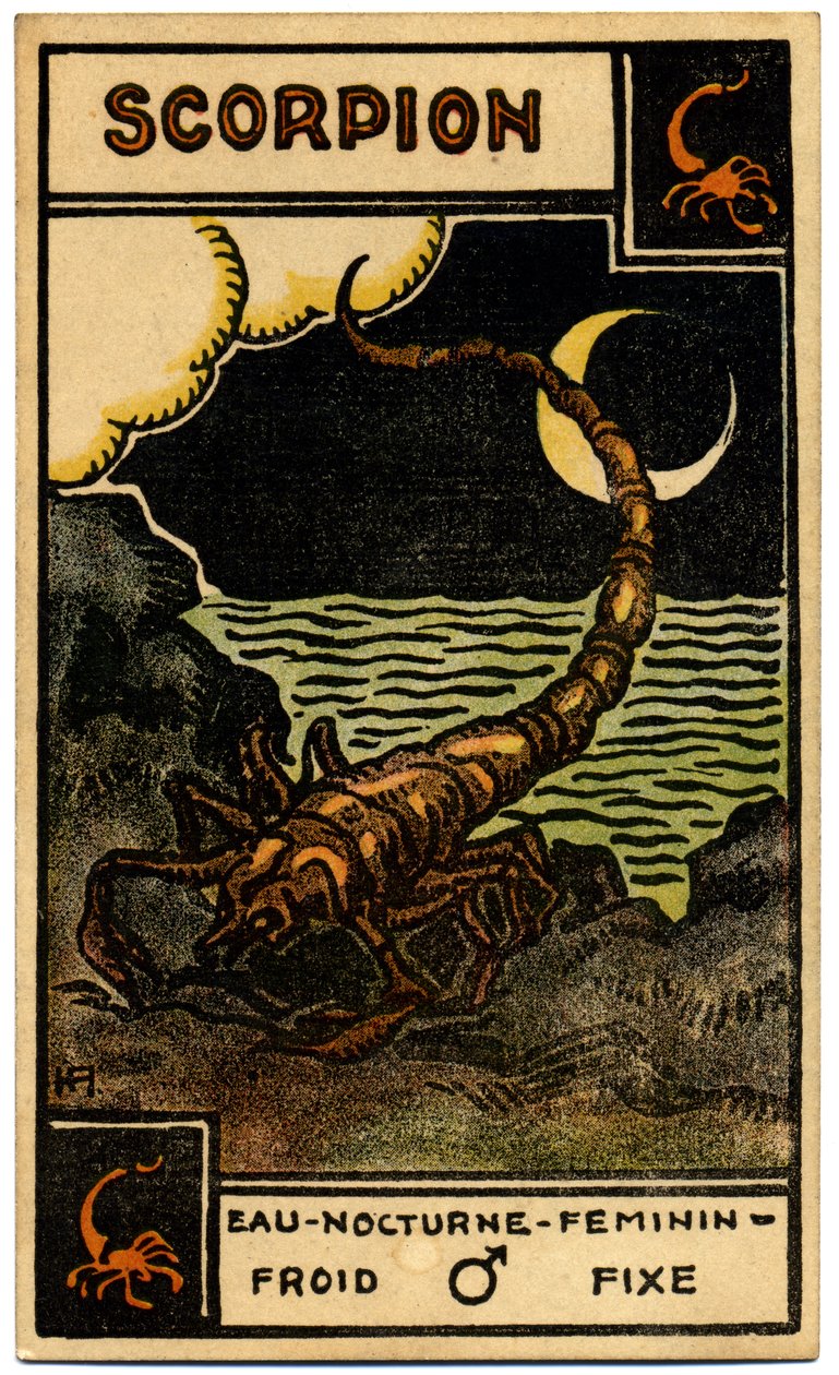 Paranormal. Astrologie. Skorpion (der Skorpion). Astrologische Karte aus: Le Tarot Astrologique, von Georges Muchery, Frankreich von Unbekannter Künstler