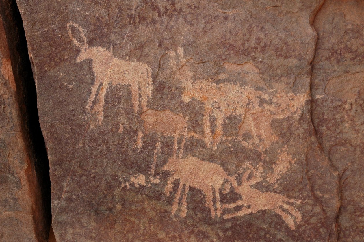 Felskunst, Vorgeschichte: Gravur eines Sets von Antilopen und eines Hundes (unten rechts) im Uweinat-Massiv, Ägypten. Zeitraum von 8000 bis 3000 v. Chr. von Unbekannt