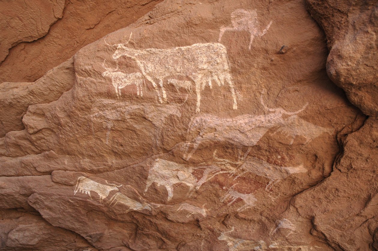 Felskunst, Vorgeschichte: Felsmalerei einer Gruppe von Rindern in einem verzierten Schutzraum im Uweinat-Massiv, Sudan (Karkur-Talh oder Karkur Talh). Zeitraum von 8000 bis 3000 Jahre v. Chr. Fotografie von Unbekannt