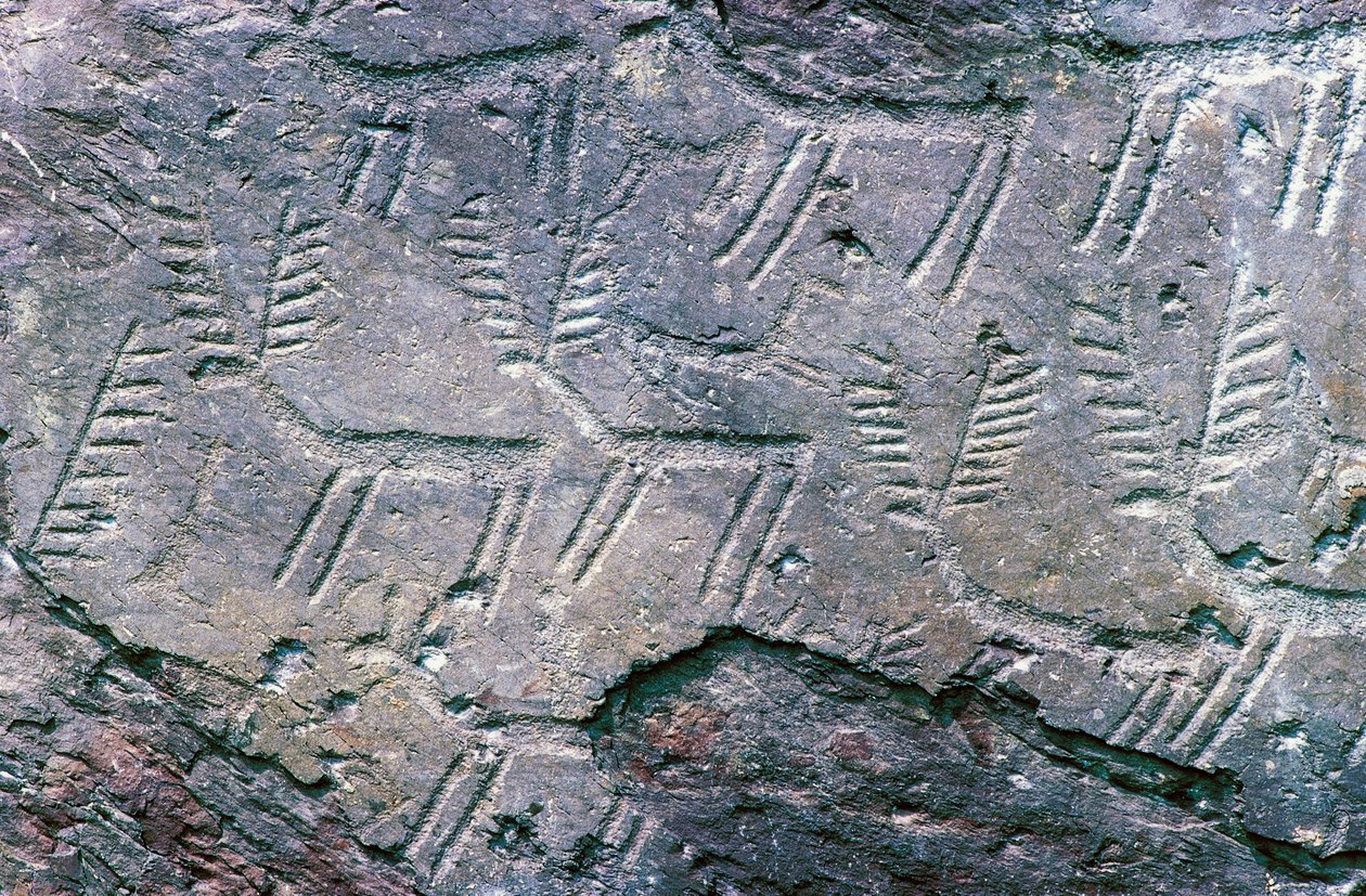 Felsgravuren im Nationalen Archäologischen Park Massi di Cemmo, Val Camonica (Unesco-Welterbeliste) von William M. Timlin