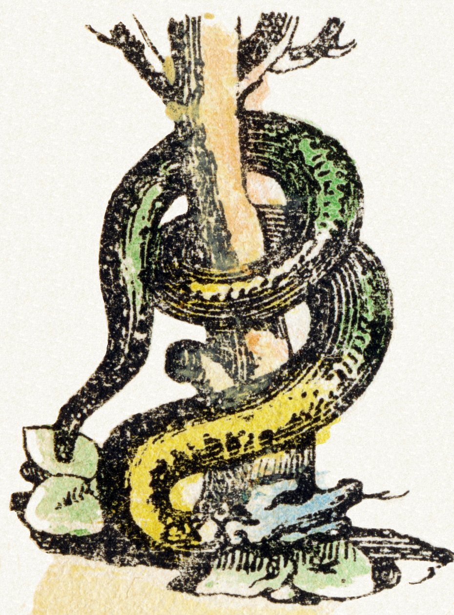 S - Schlange - Kinderunterhaltungsalphabet ca. 1890 (Lithographie) von Unbekannt