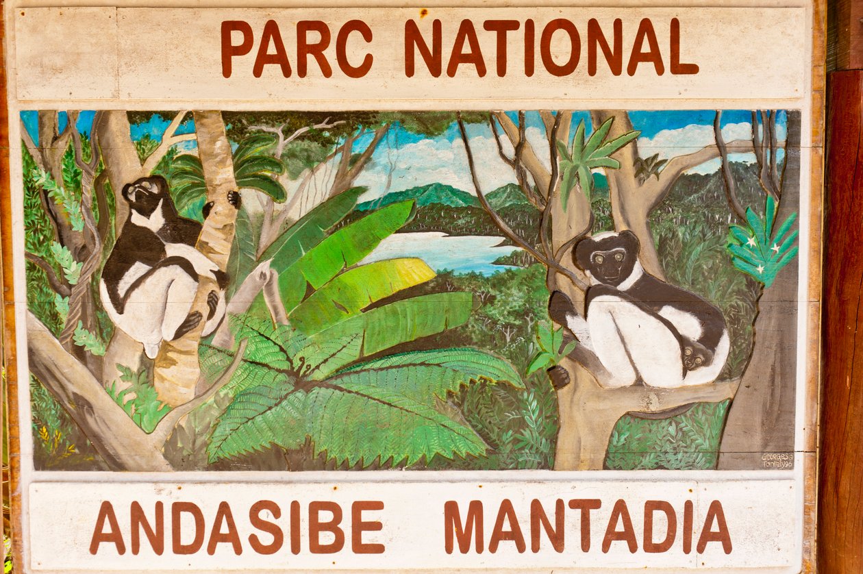 Schild mit Lemuren im Dschungel, Andasibe-Mantadia Nationalpark, Madagaskar, Afrika von Unbekannt