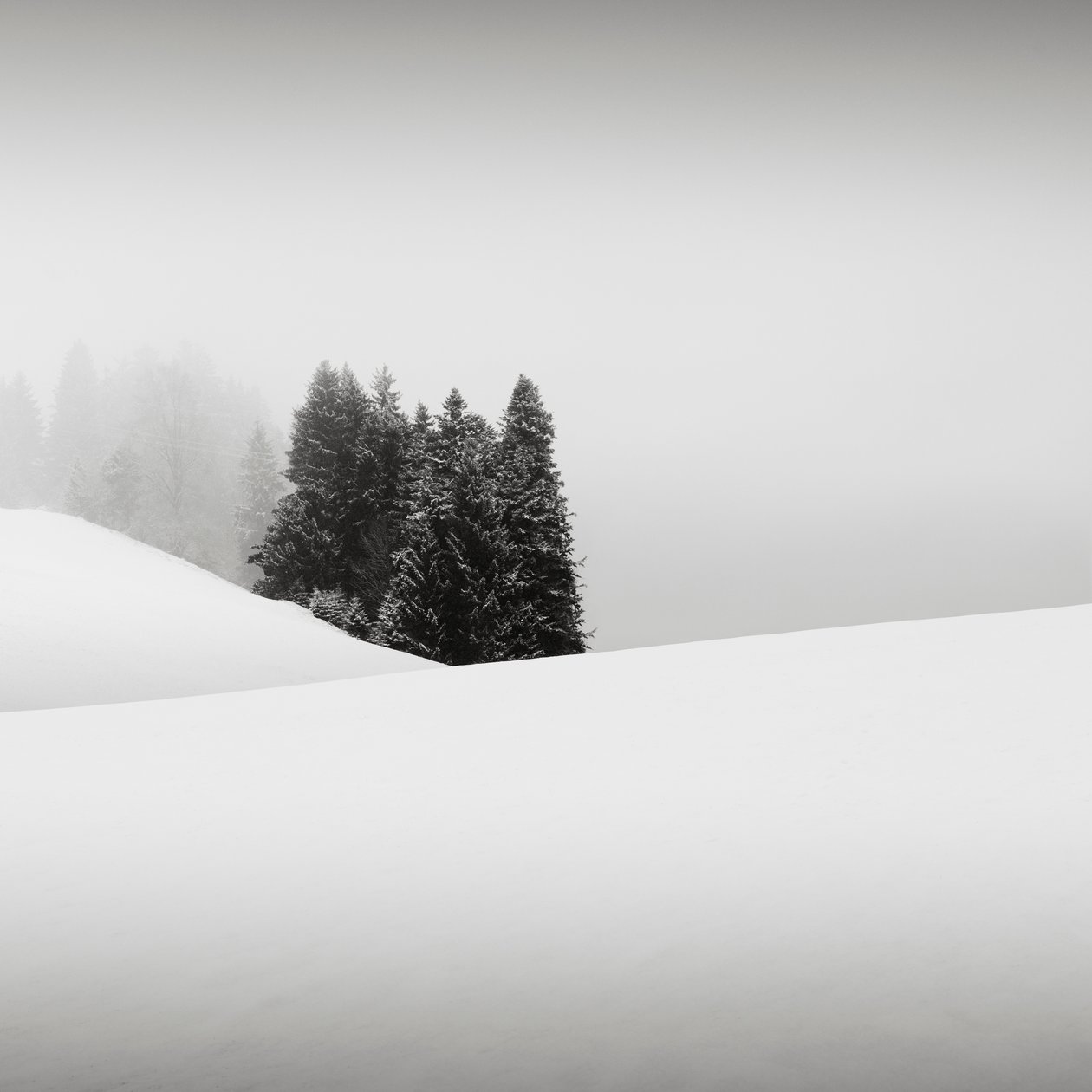 Snowytales Oasis, Bayern, Deutschland von Leopold Blonder