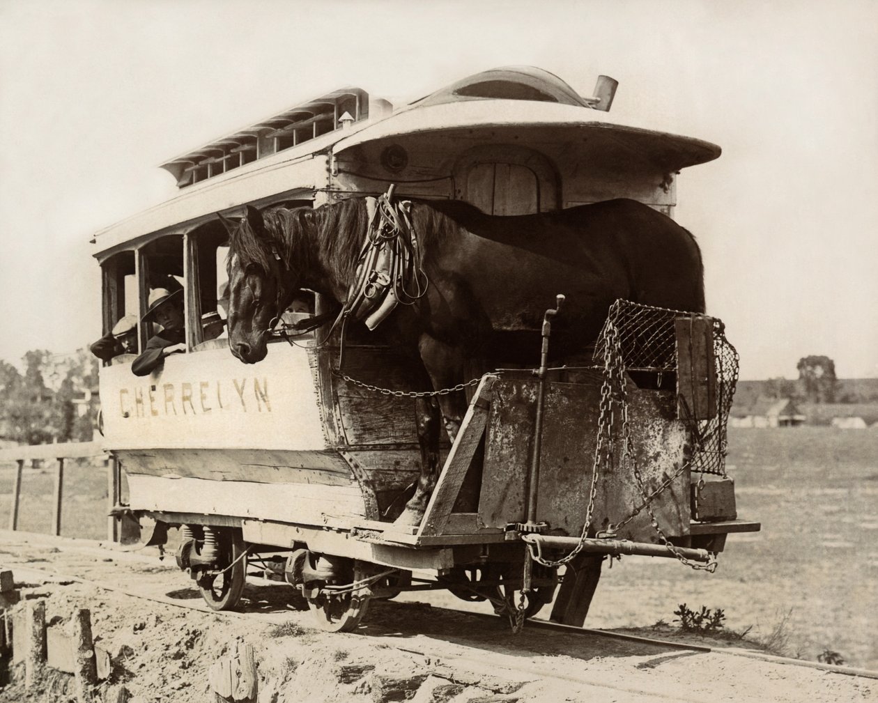 Der Cherrelyn-Pferdewagen, Denver, Colorado, ca. 1890 (s/w Foto) von Nicolas Liez