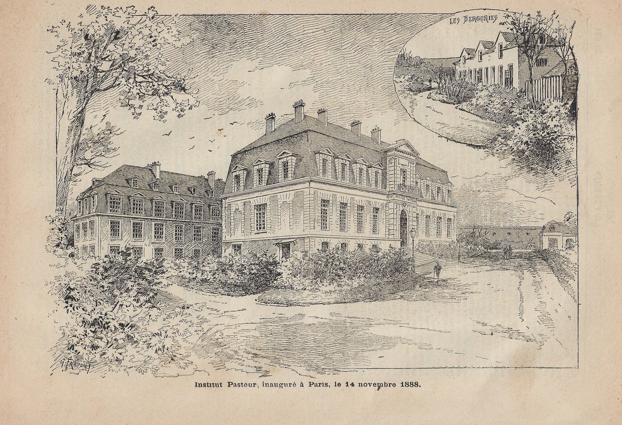 Das Pasteur-Institut in Paris von Unbekannter Künstler