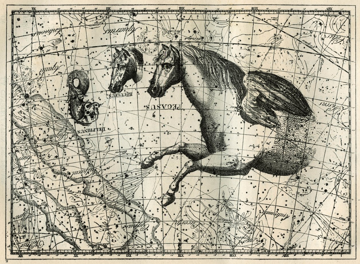 Die Konstellation des Pegasus, gezeichnet wie die vordere Hälfte eines Pferdes mit einem Paar Flügel, das kleine Pferd, ein Pferdekopf und der Delphin. Gravur aus „Les étoiles et les autres curiosités du ciel“ von Camille Flammarion von Unbekannt