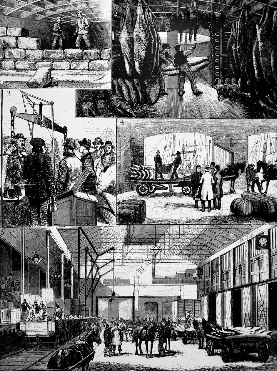 Der Prozess des Transports von gekühltem Fleisch von den USA nach Liverpool von Unbekannt