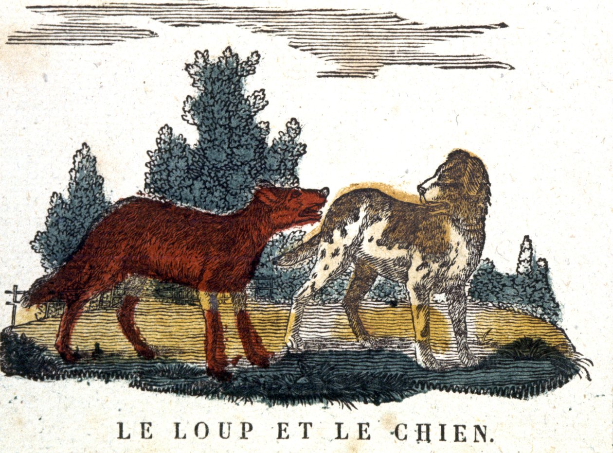 Der Wolf und der Hund, La Fontaines Fabel, frühes 19. Jahrhundert (Gravur) von Unbekannter Künstler