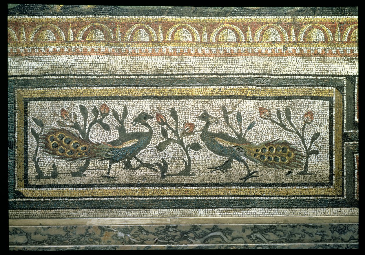 Zwei Pfauen, dekorativer Randdetail eines Mosaikbodens, der die Jahreszeiten und Jagdszenen darstellt, aus der konstantinischen Villa in Daphne, Römisch, ca. 325-330 n. Chr. von Unbekannt