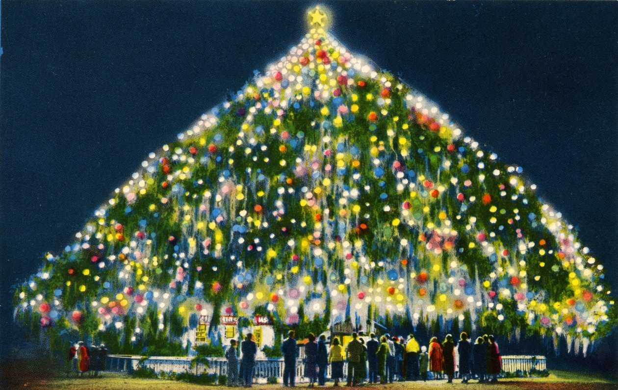 Größter lebender Weihnachtsbaum der Welt, Wilmington von Unbekannter Künstler