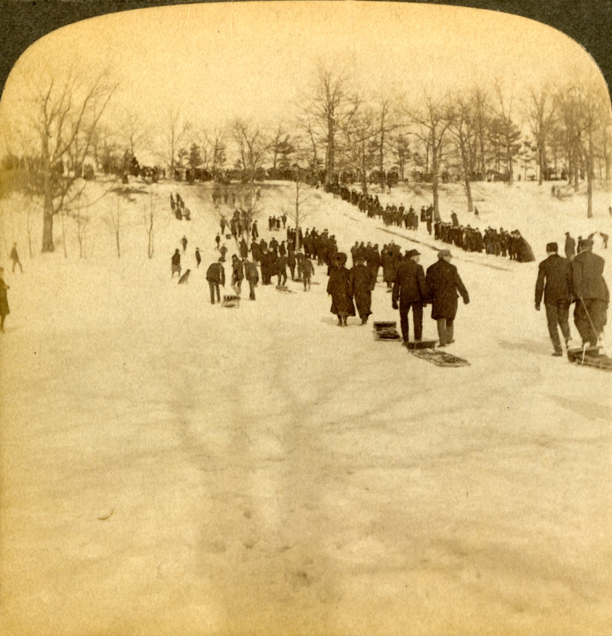 Kanadische Wintersportarten - Rodeln, 1905 von Underwood and Underwood