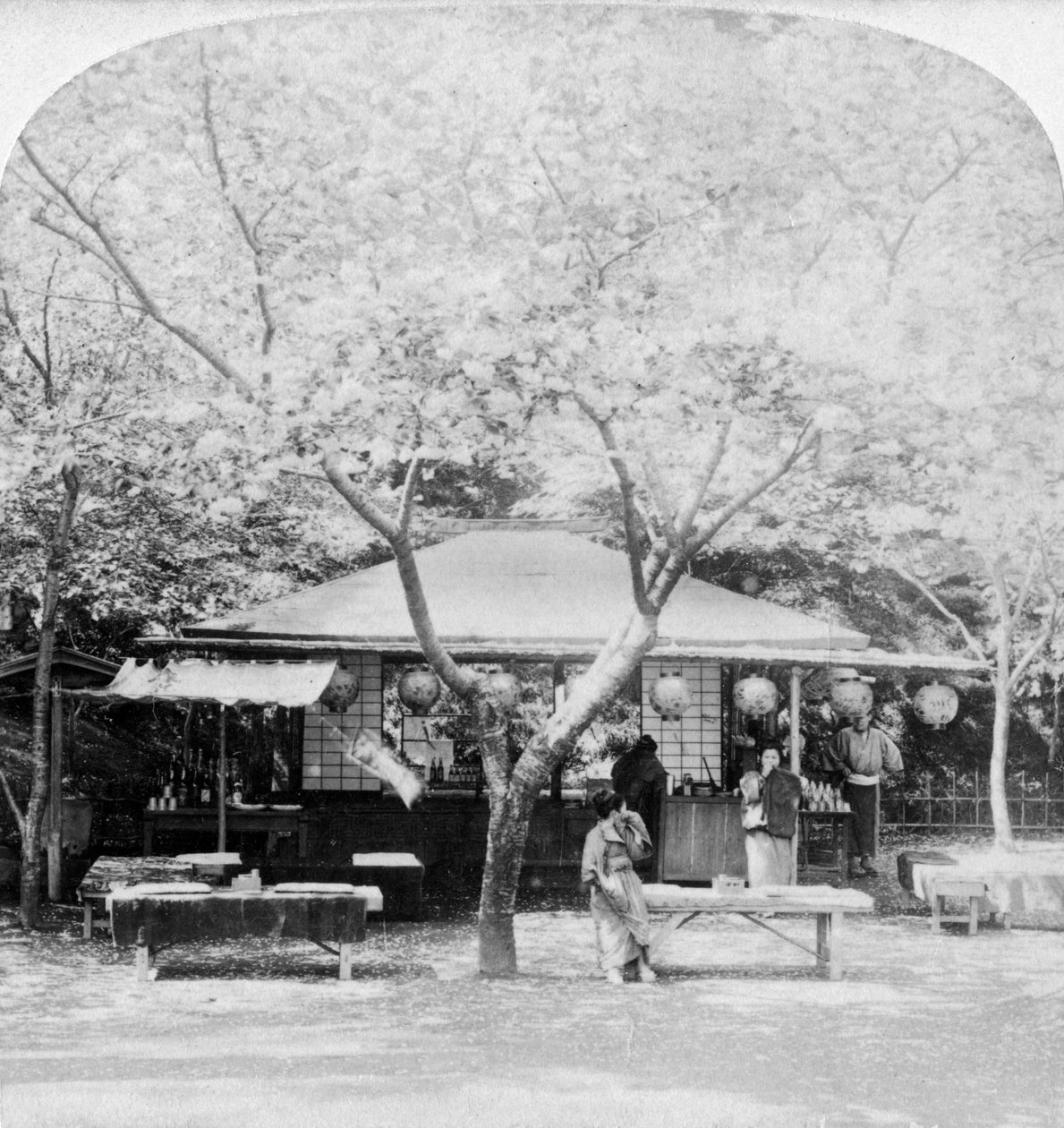 Im Herzen des Blumenreichs, Nara, Japan, 1896 von Underwood and Underwood