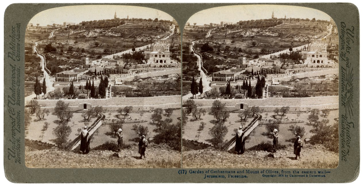 Der Garten Gethsemane und der Ölberg, Palästina von Underwood and Underwood
