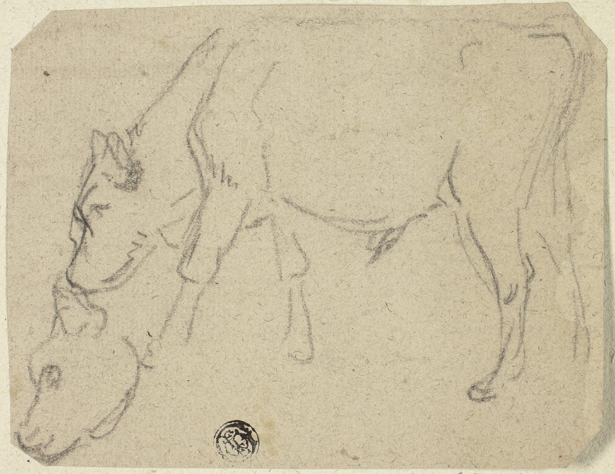 Skizzen eines weidenden Stiers, Kuhkopf (recto); Sitzende Kuh im Profil (verso) von Unknown