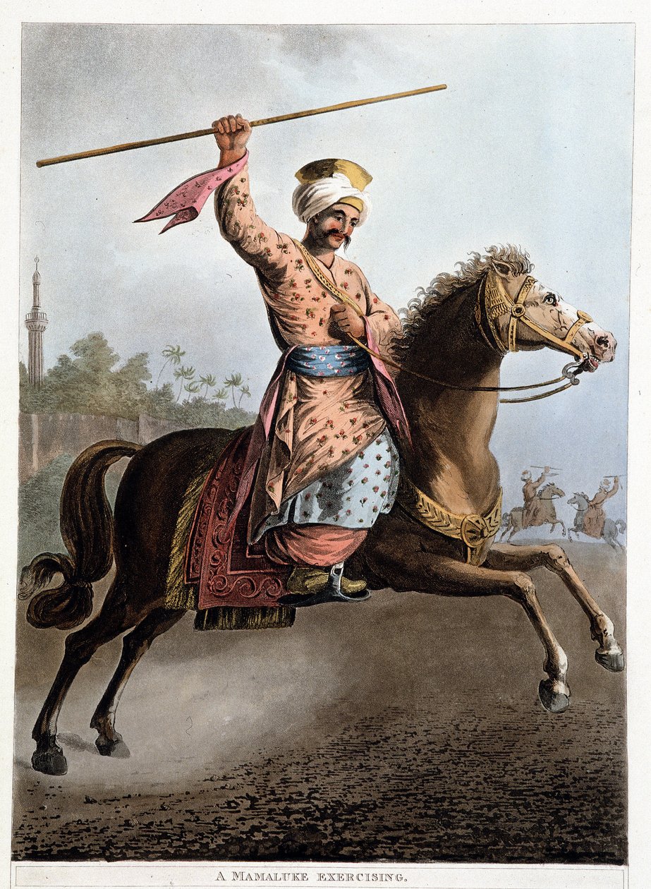 Ein Mamluke auf seinem Pferd - in „Ansichten von Ägypten, Palästina und anderen Teilen des Osmanischen Reiches“ von Unknown artist