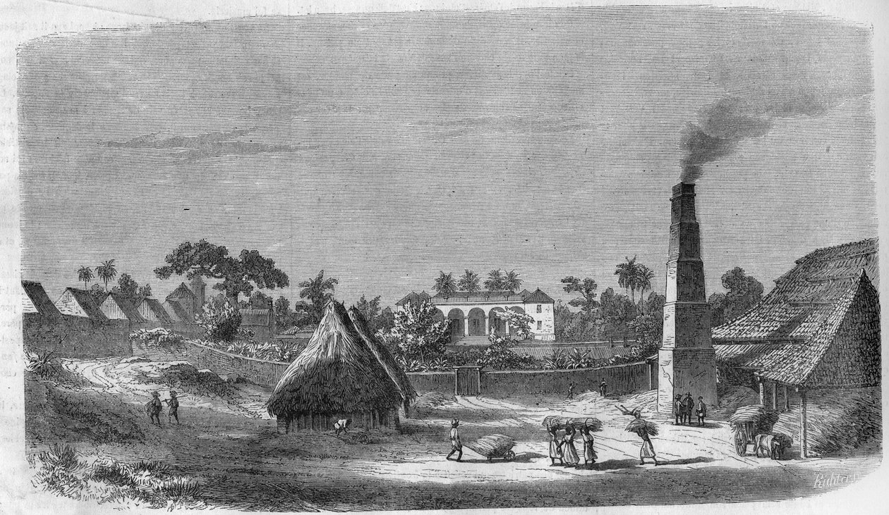 Eine Süßwarenfabrik auf der Insel Kuba im Jahr 1869. von Unknown artist