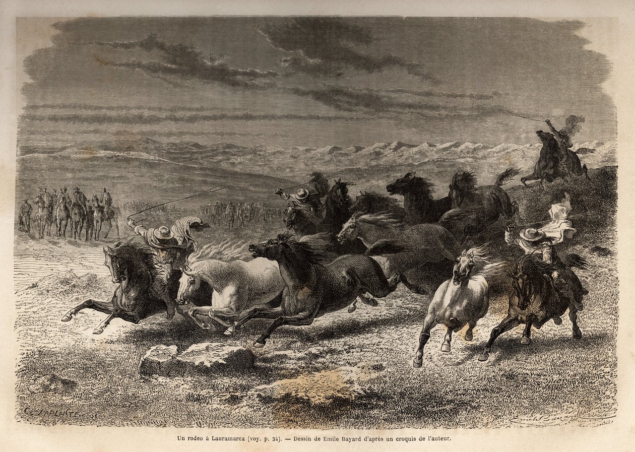 Ein Rodeo in Lauramarca (Unterperu), das Einfangen von Wildpferden, vor ihrer Eisenmarkierung mit den Initialen des Besitzers der Region, als vollständiges Spektakel betrachtet, viele Schaulustige versammelt. Gravur zur Illustration der Reise in die Täler  von Unknown artist