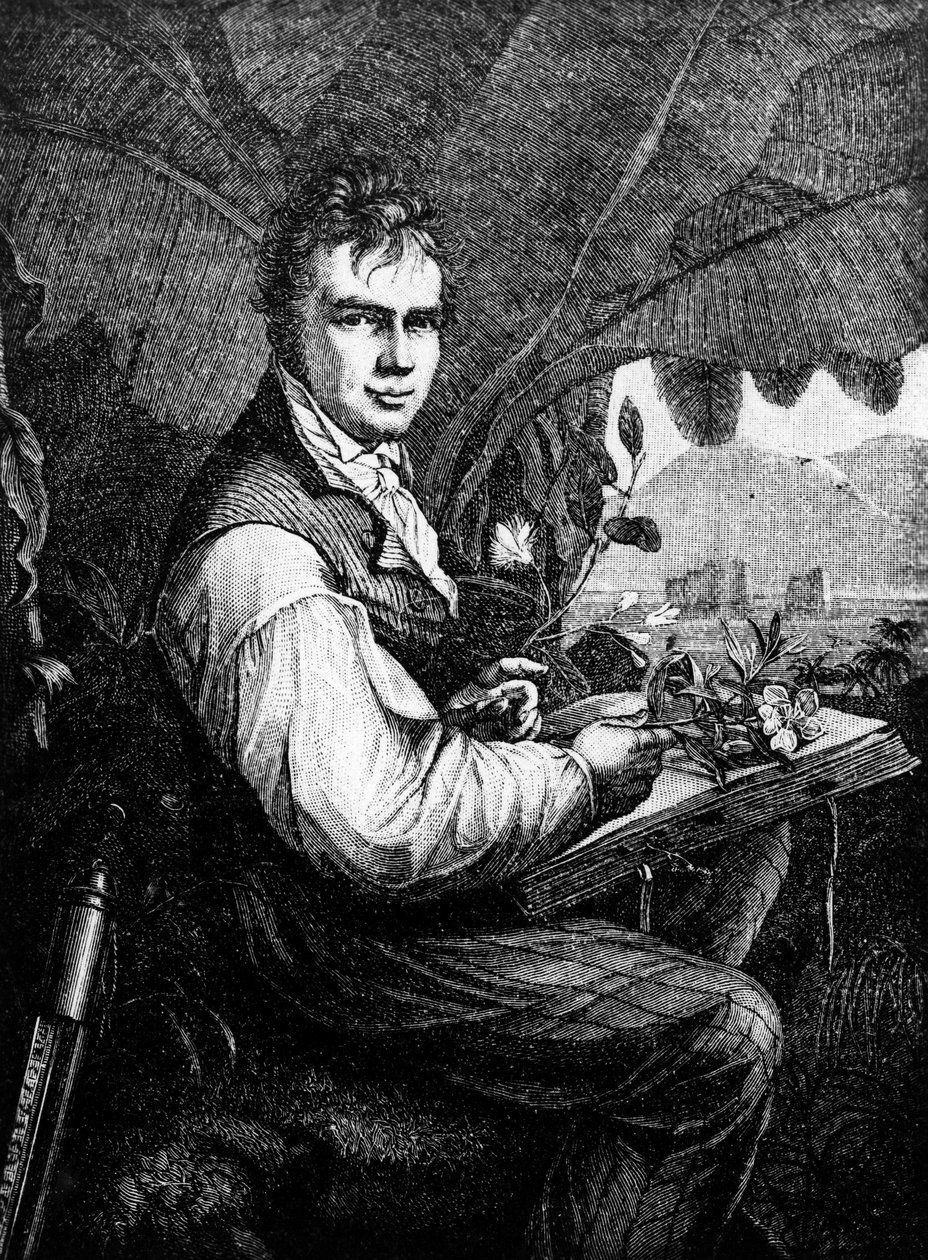 Alexander von Humboldt von Unknown artist