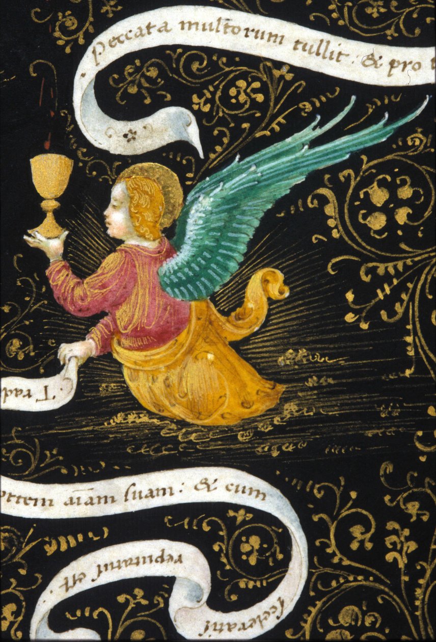 Engel mit einem Kelch. Miniatur von Belbello da Pavia von Unknown artist