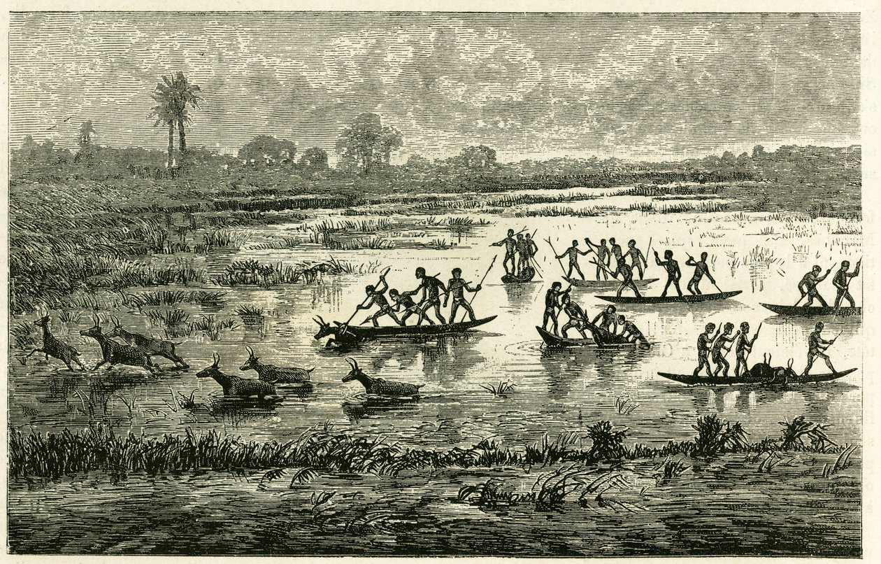 Antilopenjagd, jährliche Jagd während der Migration, Antilopen, die im Flusswasser verlangsamt werden, werden von Marutse-Kriegern geschlachtet, die sie im Gleichgewicht auf Kanus verfolgen. Gravur, um die Geschichte „Im Land der Marutses“ zu illustrieren, von Unknown artist